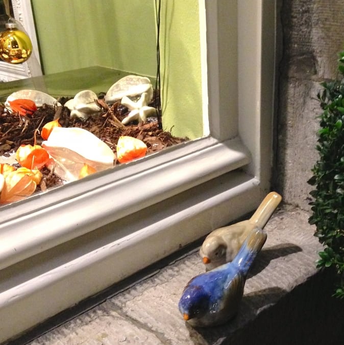 Frissen_Pieters_vogels1