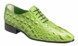 Mascolori_crocodile1
