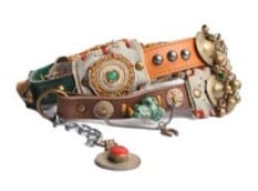VanCoesant_riem01