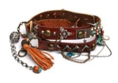 VanCoesant_riem03