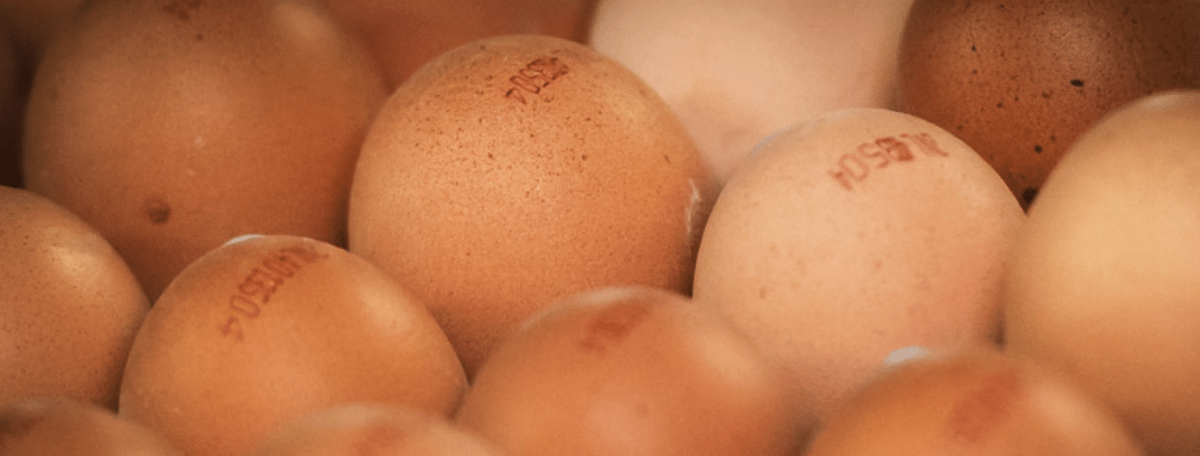 HAPPY EASTER – VROLIJK PASEN – BLIJ EI