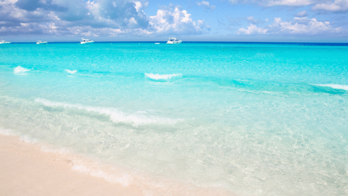 Roeptoeteren dat je niet meer naar Ibiza gaat