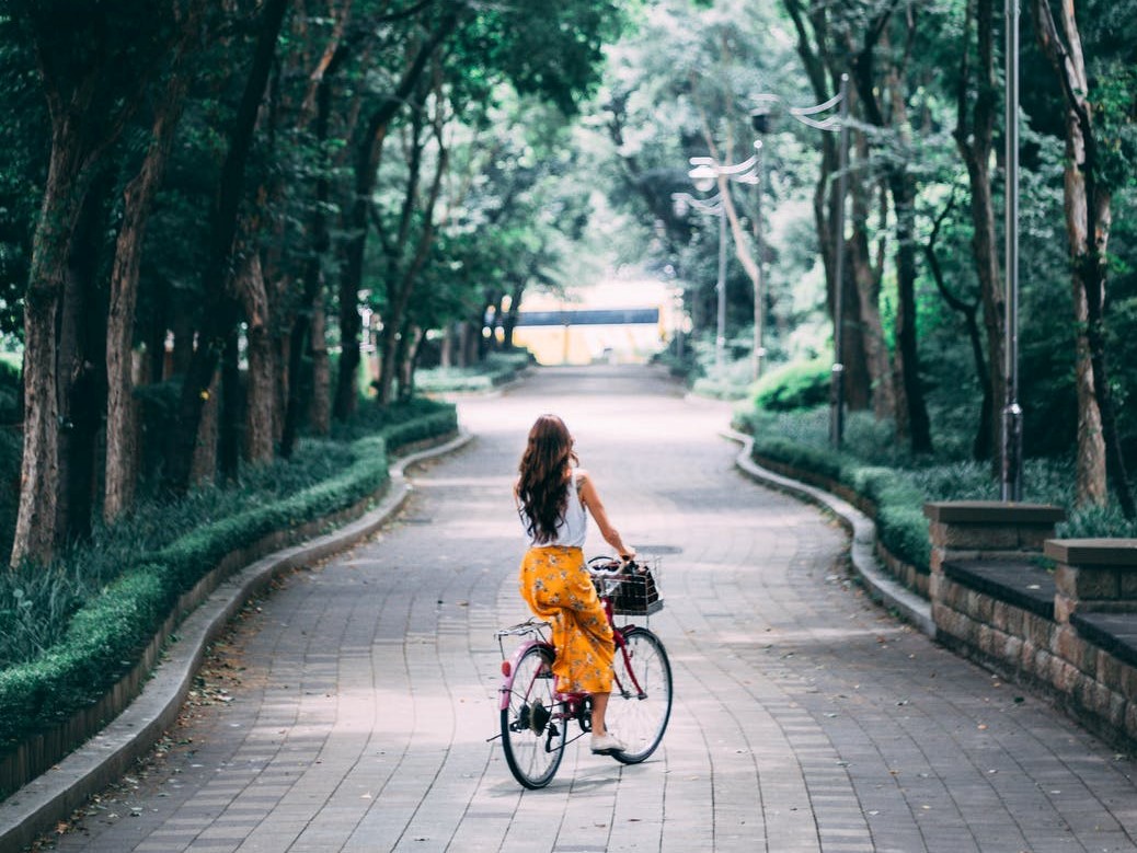 De mooiste fietsroutes door Nederland