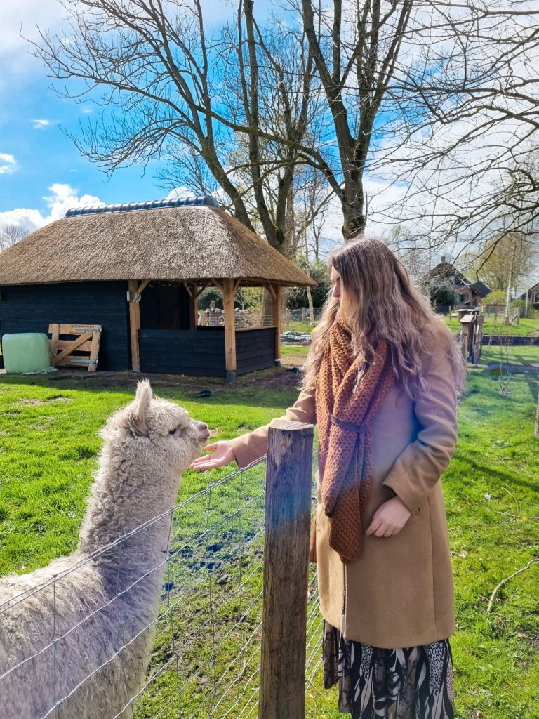 Alpaca boerderij Giethoorn