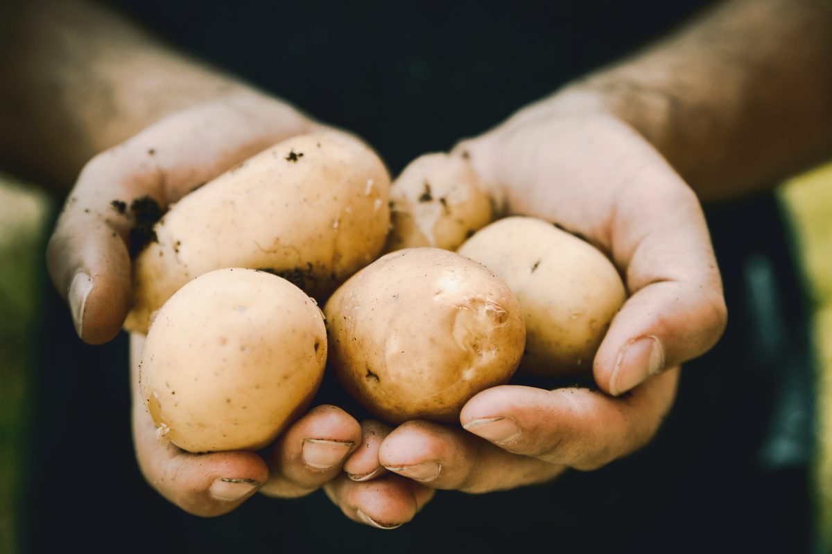 De verschillende bereidingswijzen van aardappelen